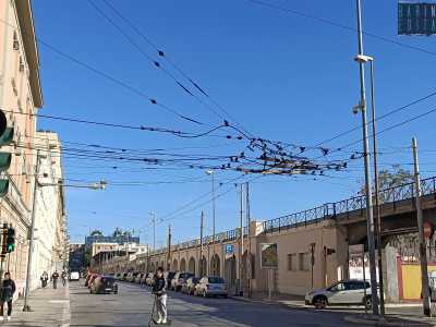 ...corso Italia